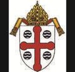 Catholic  Observer