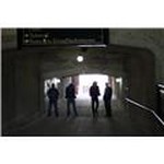 joe gigs