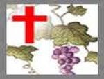 Jesus the True Vine Christian Fellowship
