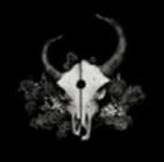 Andre  Els