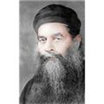 magdy f