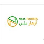 naas flowers