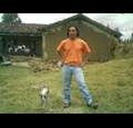 olger pedro suquisupa quezada