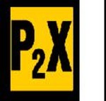 Power 2 XStream Ministries