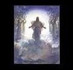 Rapture Or Tribulationcom