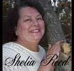 Shelia  Reed