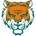 tiger book