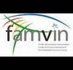 Vincentian Family