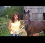 Terri Webb