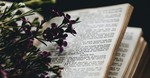 Praying through the Most Beloved Psalms in the Bible