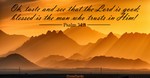 Psalm 34:8 - Trust in Him