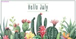 Hello July - Cacti