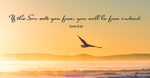 John 8:36 - You Are Free Indeed!