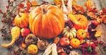 5 Times the Bible Mentions 'Harvest' and How it Applies to Us Today