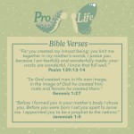 Pro Life Bible Verses