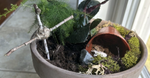 How to Make a Resurrection Garden with Kids