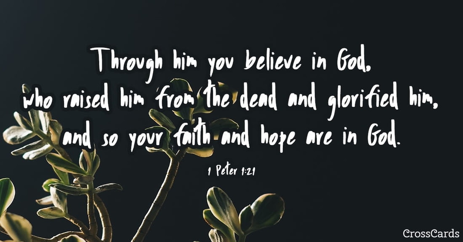 1-peter-1-16-bsb-for-it-is-written-be-holy-because-i-am-holy