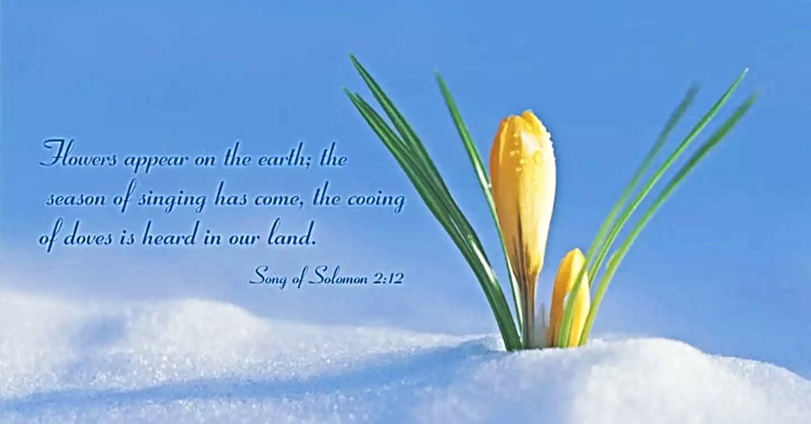 The Top Bible Verses about Seasons in Scripture | Bible Study Tools