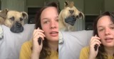 Eavesdropping Dog's Hilarious Reaction to Hearing Its Favorite Word