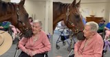 Horse Shows Compassion and Kindness at Nursing Home