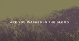 ‘Are You Washed in the Blood’ Cover Will Touch Your Heart