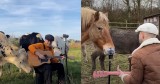 Animals Gather to Enjoy This Man’s Beautiful Music