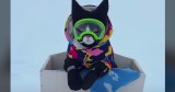 Adorable Cat Dressed for Snowy Fun is the Cutest Thing Ever