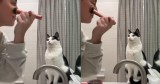 Cat Joins Owner in Getting Ready for the Day in the Funniest Way