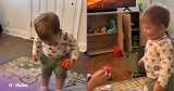 Youngster Searching for a Toy Is the Cutest Thing You’ll See Today
