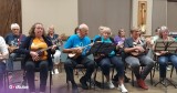 This Charming Ukulele Cover of a Beach Boys Song Will Make You Smile
