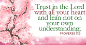 We don't know everything, but luckily, we know someone who does - Proverbs 3:5