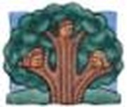 Jesus's Genealogy: One of Us