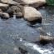 The Journey Part 4: Refreshment