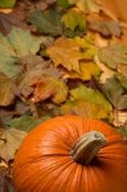 What We Have to be Thankful for