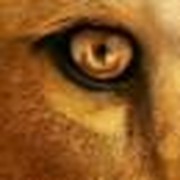 Un-Dragon Your Life: A Sermon from the Dawn Treader