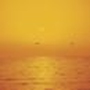 Silence Isn't Always Golden