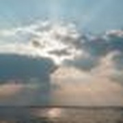 Ancient Words, New Light: How Studying Psalms Prepared a Pastor