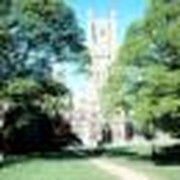 How to Maximize Your College Savings Program, Part I