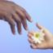 Adoption Offers Profound Opportunities for Racial Unity