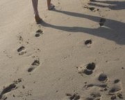 Renewing Your Commitment to Christ’s Call