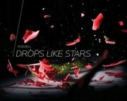 Drops Like Stars: A Few Thoughts on Creativity and Suffering
