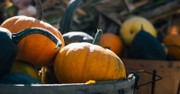 On the Topic of Thanksgiving
