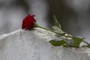 How Do I Prepare a Sermon for a Funeral?