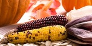 The First Thanksgiving We Don't Remember