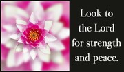 Strength & Peace