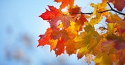 13 Foundational Realities of Change