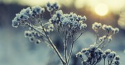 Preparing for the Holidays When Your Heart is Broken