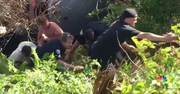 Good Samaritans Form Human Chain To Rescue Man 
