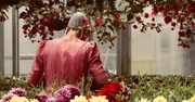 10 Fun Facts about the Amish
