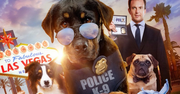 Does PG Film Show Dogs Promote Child Molestation?